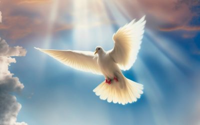 DEVOTIONAL REFLECTION 178a