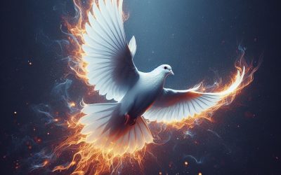 DEVOTIONAL REFLECTION 334