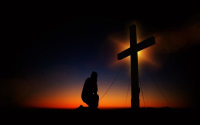 DEVOTIONAL REFLECTION 360
